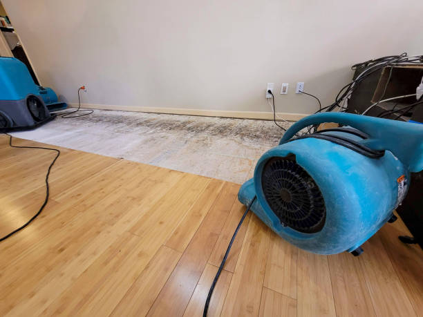 Professional Water Damage Repair technician working in Dillsburg, PA